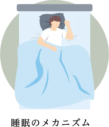 睡眠のメカニズム