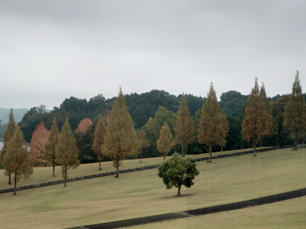 かふか生涯学習館　風景